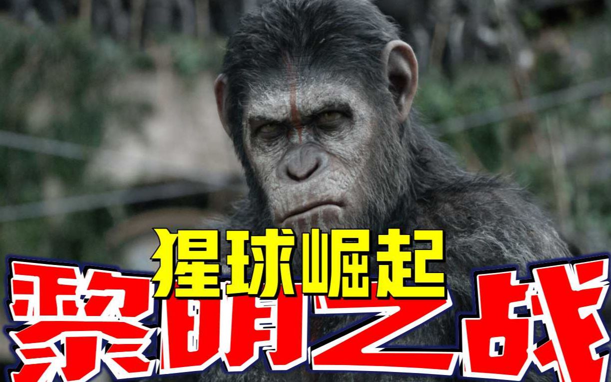 解说《猩球崛起2》猿族大军与人类发生冲突，双方命运何去何从？