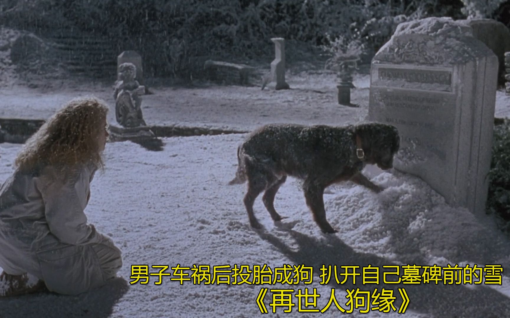 男子投胎成狗，为了让老婆认出自己，扒开了墓碑上的雪。。。